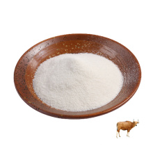 High Quality Carnivor Bovine Beef Collagen Premium Protein Powder For Daily Health Care